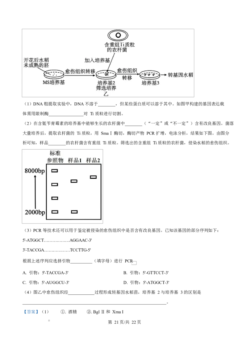精品解析：2026届四川省绵阳市涪城区四川省绵阳南山中学高三模拟预测生物试题（解析版）_2024-2026高三（6-6月题库）_2026年03月高三试卷