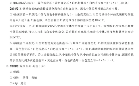 天壹名校联盟2026届高三年级4月质量检测生物答案_2024-2026高三（6-6月题库）_2026年04月高三试卷_260424湖南省天壹名校联盟2026届高三年级4月质量检测（6360C）（全科）