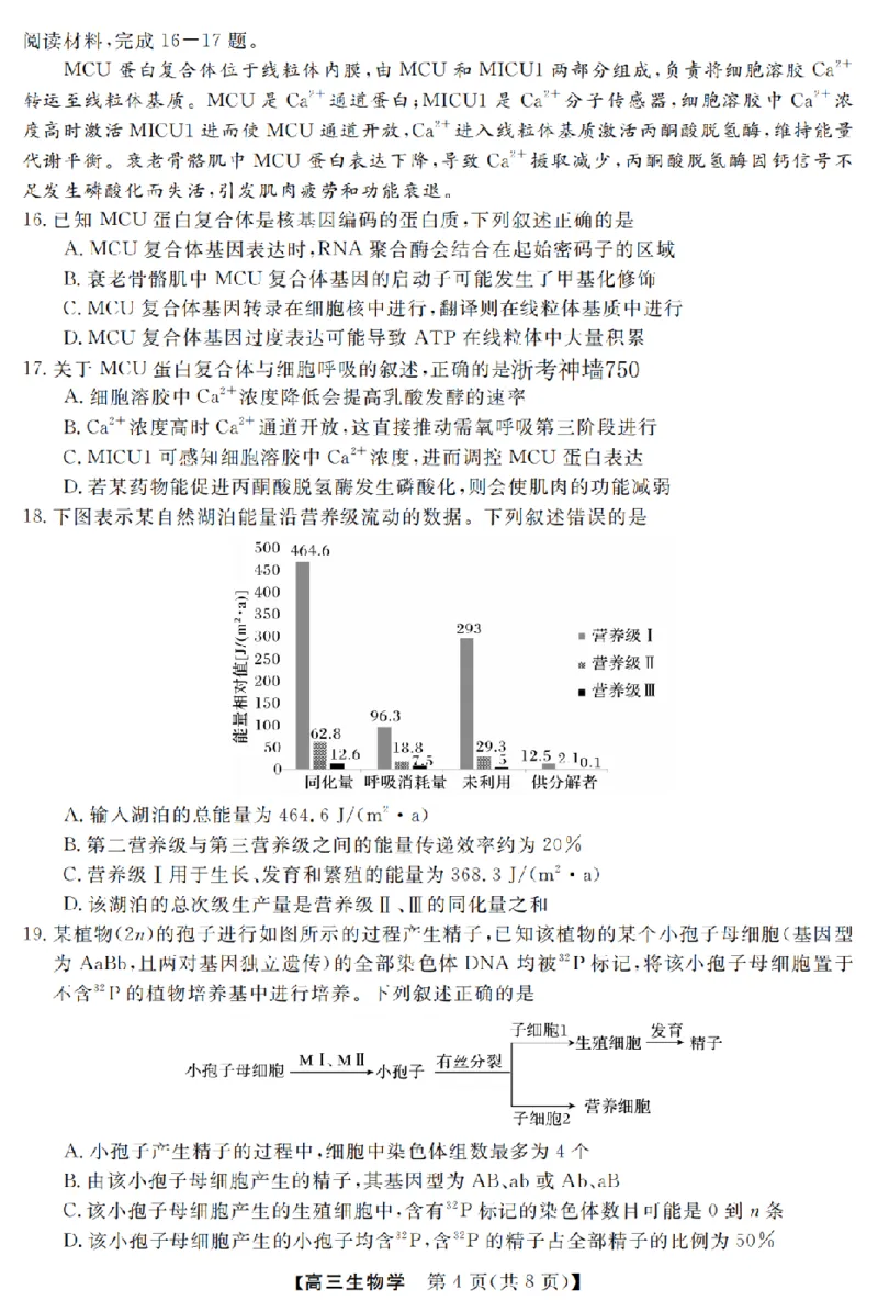 生物卷-2603高三强基联盟_2024-2026高三（6-6月题库）_2026年03月高三试卷_260308浙江强基联盟2026年3月高三联考（全科）_浙江强基联盟2026年3月高三联考生物