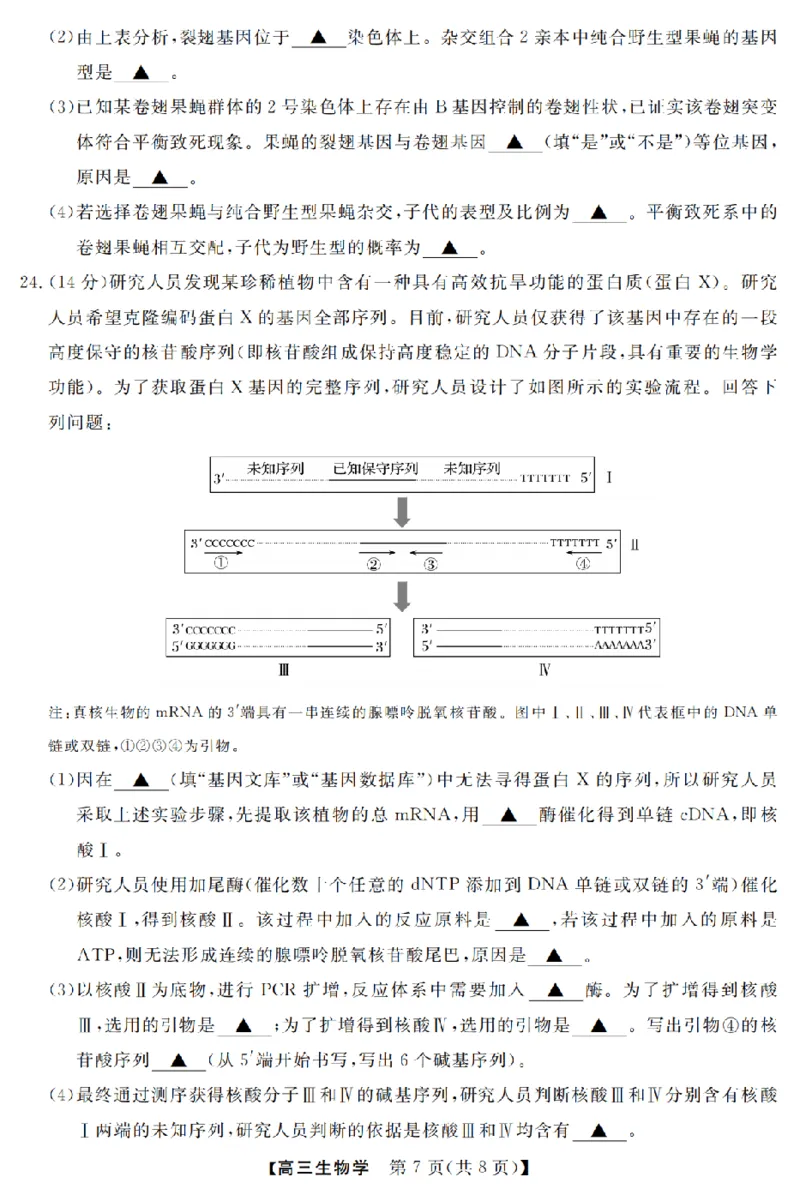 生物卷-2603高三强基联盟_2024-2026高三（6-6月题库）_2026年03月高三试卷_260308浙江强基联盟2026年3月高三联考（全科）_浙江强基联盟2026年3月高三联考生物