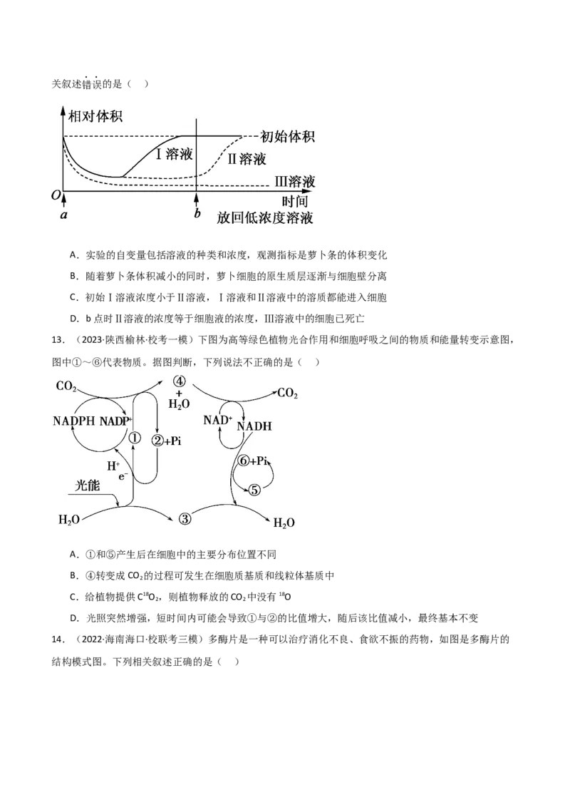 必修1分子与细胞测试卷（原卷版）_新高考复习资料_2024年新高考复习资料_❤专项复习资料_完一轮测试备战2024年高考生物按教材测试卷（新教材新高考）