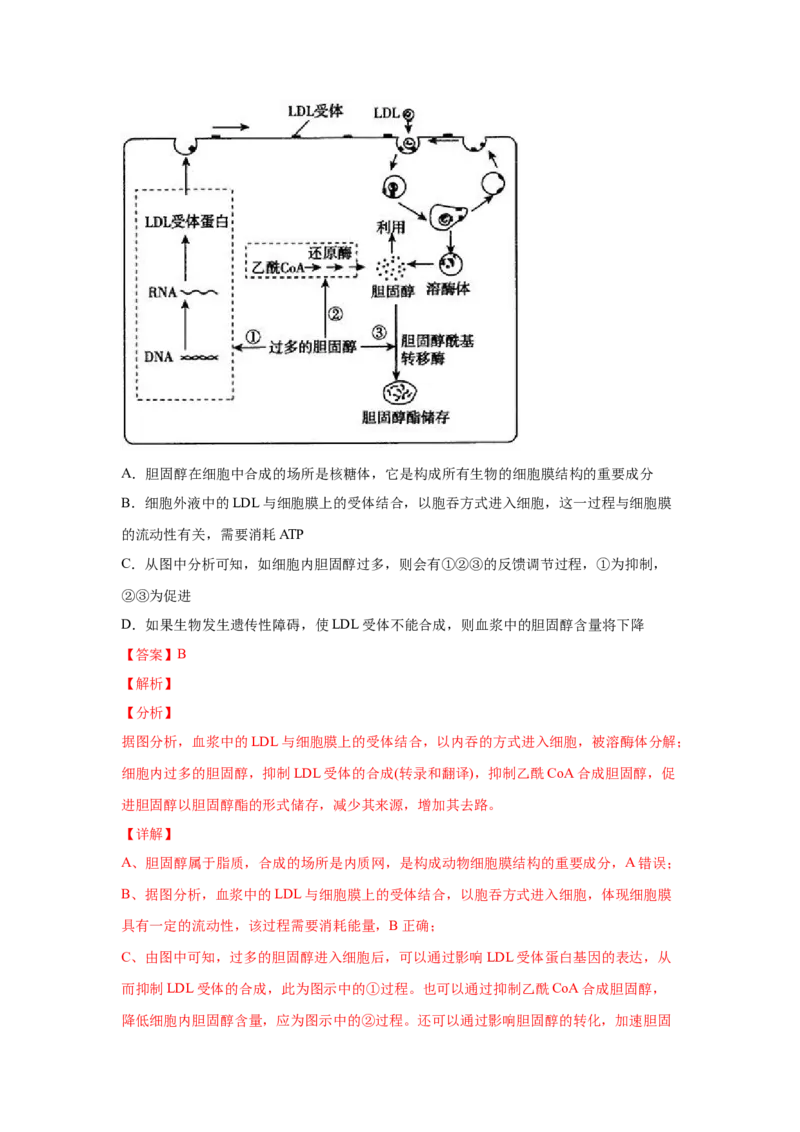 易错点12体液调节-2021年高考生物一轮复习易错题（教师版含解析）_新高考复习资料_2023年新高考复习资料_一轮复习_2023年新高考大一轮复习讲义_赠2021年高考生物一轮复习易错题