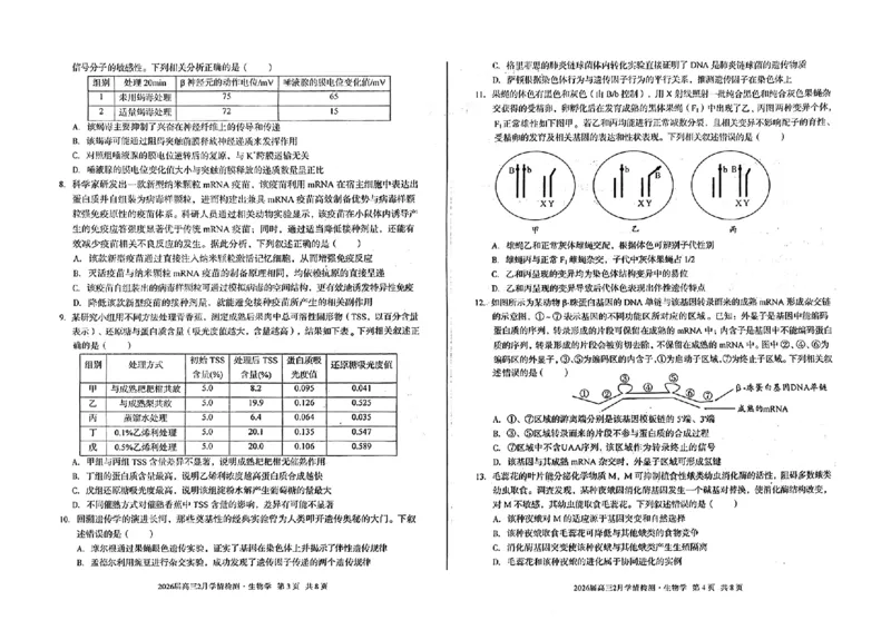 生物试题_2024-2026高三（6-6月题库）_2026年02月高三试卷_260227安徽A10联盟2026届高三开年考