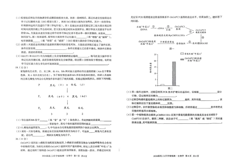 生物试题_2024-2026高三（6-6月题库）_2026年02月高三试卷_260227安徽A10联盟2026届高三开年考