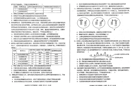 生物试题_2024-2026高三（6-6月题库）_2026年02月高三试卷_260227安徽A10联盟2026届高三开年考