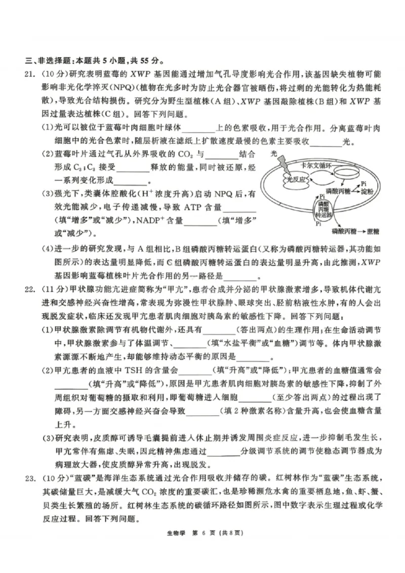 生物试题卷_2024-2026高三（6-6月题库）_2026年04月高三试卷_260427黑龙江省齐齐哈尔市2026届高三年级第二次联考（全科）