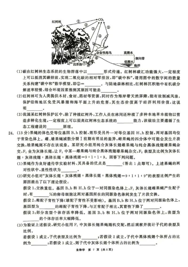 生物试题卷_2024-2026高三（6-6月题库）_2026年04月高三试卷_260427黑龙江省齐齐哈尔市2026届高三年级第二次联考（全科）