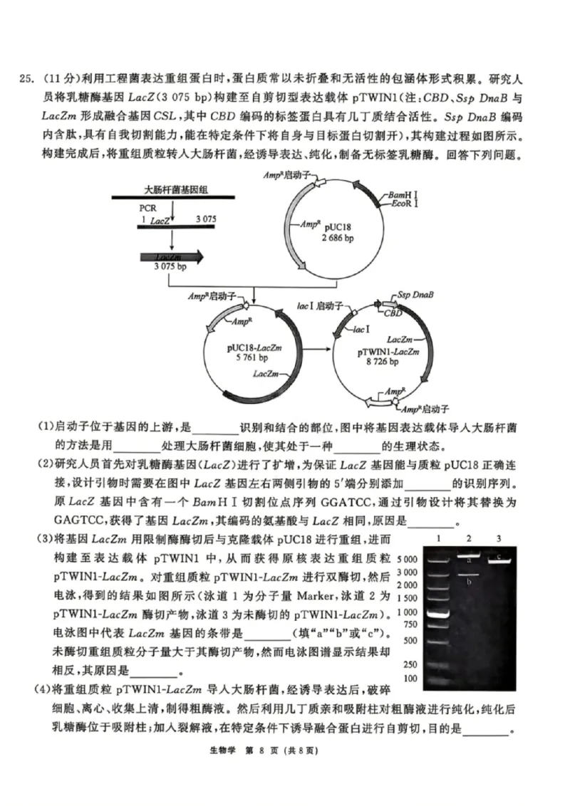 生物试题卷_2024-2026高三（6-6月题库）_2026年04月高三试卷_260427黑龙江省齐齐哈尔市2026届高三年级第二次联考（全科）