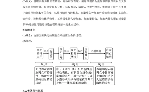 微专题8　细胞自噬与细胞凋亡_新高考复习资料_2023年新高考复习资料_一轮复习_2023年新高考大一轮复习讲义_2023年高考生物一轮复习讲义（新人教新高考）_赠补充习题