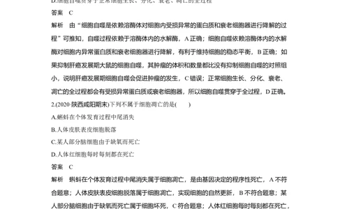 微专题8　细胞自噬与细胞凋亡_新高考复习资料_2023年新高考复习资料_一轮复习_2023年新高考大一轮复习讲义_2023年高考生物一轮复习讲义（新人教新高考）_赠补充习题