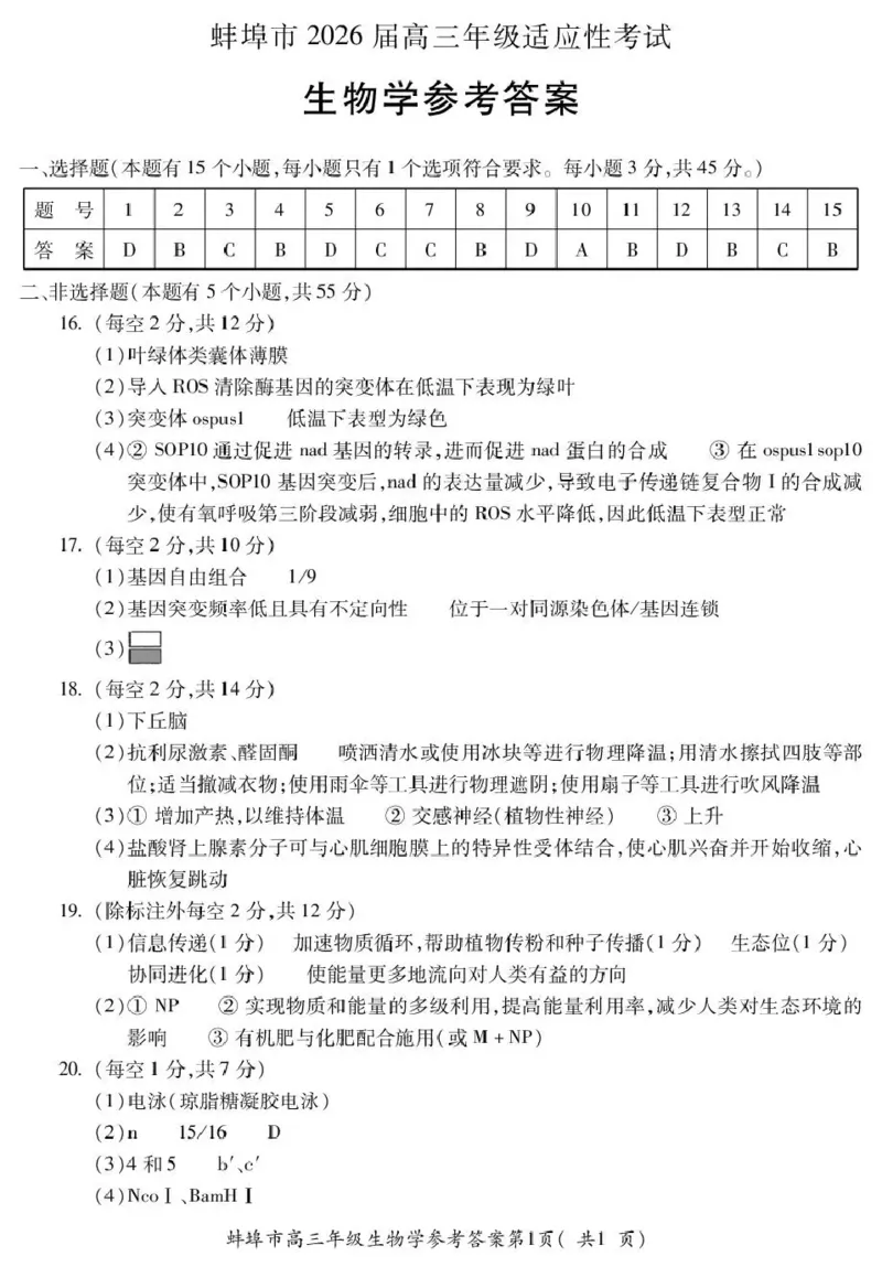 蚌埠市2026届高三年级适应性考试生物答案_2024-2026高三（6-6月题库）_2026年04月高三试卷_260423安徽省蚌埠市2026届高三年级适应性考试（全科）