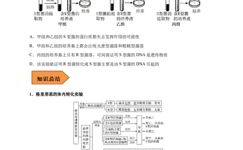 易错点12遗传物质的发现实验-备战2023年高考生物考试易错题（新教材新高考）（原卷版）_新高考复习资料_2023年新高考复习资料_专项复习_备战2023年高考生物考试易错题（新教材新高考）