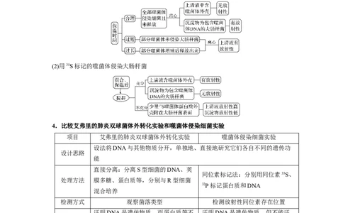 易错点12遗传物质的发现实验-备战2023年高考生物考试易错题（新教材新高考）（原卷版）_新高考复习资料_2023年新高考复习资料_专项复习_备战2023年高考生物考试易错题（新教材新高考）