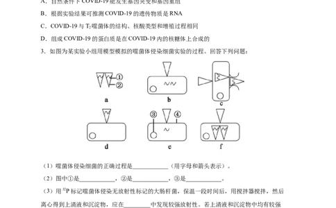 易错点12遗传物质的发现实验-备战2023年高考生物考试易错题（新教材新高考）（原卷版）_新高考复习资料_2023年新高考复习资料_专项复习_备战2023年高考生物考试易错题（新教材新高考）