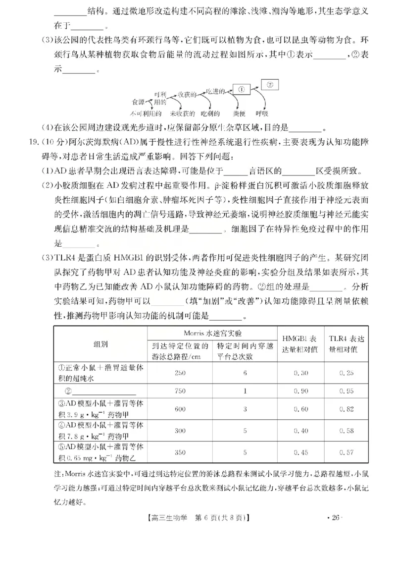生物试题_2024-2026高三（6-6月题库）_2026年03月高三试卷_260314山西运城市2026届高考考前模拟测试（运城一模）（全科）_2026届山西省运城市高考考前模拟测试下学期高三生物试题
