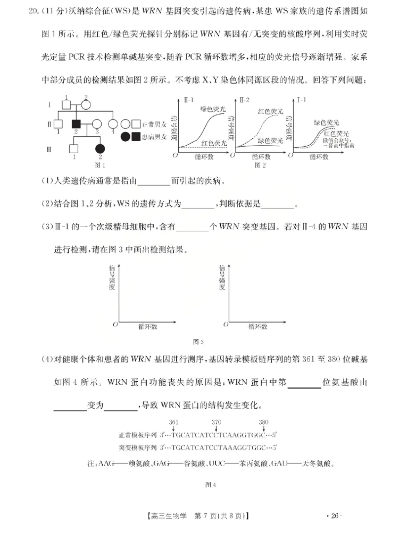 生物试题_2024-2026高三（6-6月题库）_2026年03月高三试卷_260314山西运城市2026届高考考前模拟测试（运城一模）（全科）_2026届山西省运城市高考考前模拟测试下学期高三生物试题