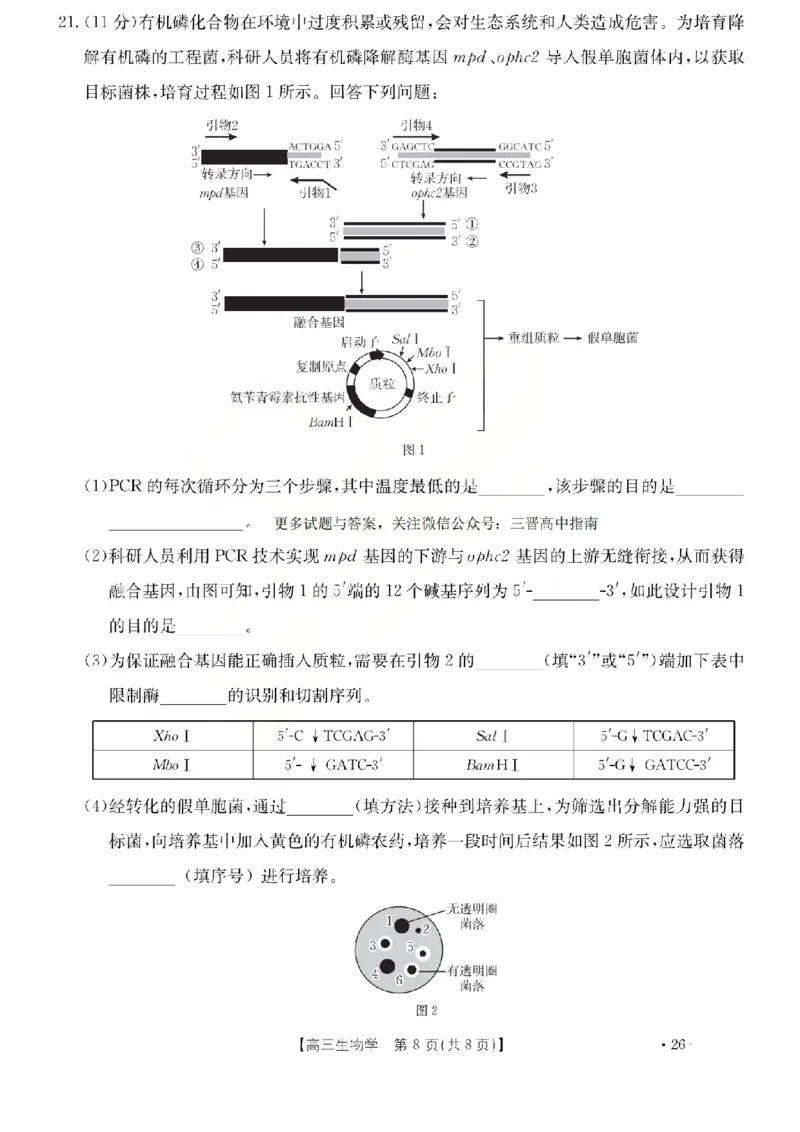 生物试题_2024-2026高三（6-6月题库）_2026年03月高三试卷_260314山西运城市2026届高考考前模拟测试（运城一模）（全科）_2026届山西省运城市高考考前模拟测试下学期高三生物试题