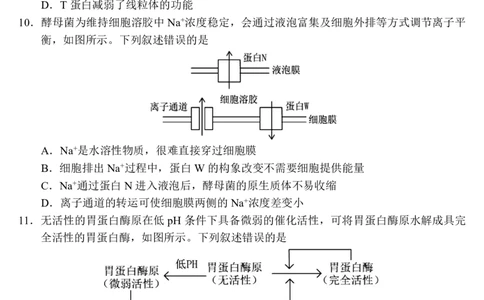 2603金丽衢十二校高三第二次联考生物试卷_2024-2026高三（6-6月题库）_2026年03月高三试卷_260322浙江省金丽衢十二校2025学年高三第二次联考（全科）