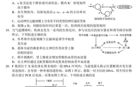 2603金丽衢十二校高三第二次联考生物试卷_2024-2026高三（6-6月题库）_2026年03月高三试卷_260322浙江省金丽衢十二校2025学年高三第二次联考（全科）