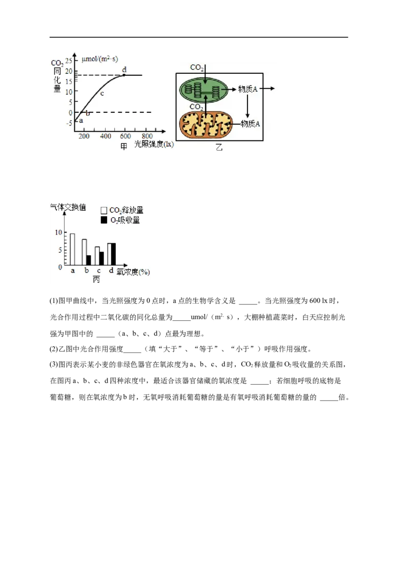 易错点08光合作用-备战2023年高考生物考试易错题（新教材新高考）（原卷版）_新高考复习资料_2023年新高考复习资料_专项复习_备战2023年高考生物考试易错题（新教材新高考）