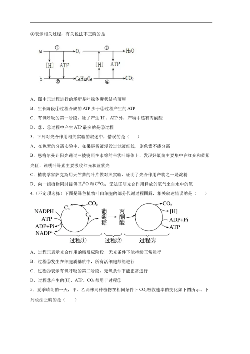 易错点08光合作用-备战2023年高考生物考试易错题（新教材新高考）（原卷版）_新高考复习资料_2023年新高考复习资料_专项复习_备战2023年高考生物考试易错题（新教材新高考）