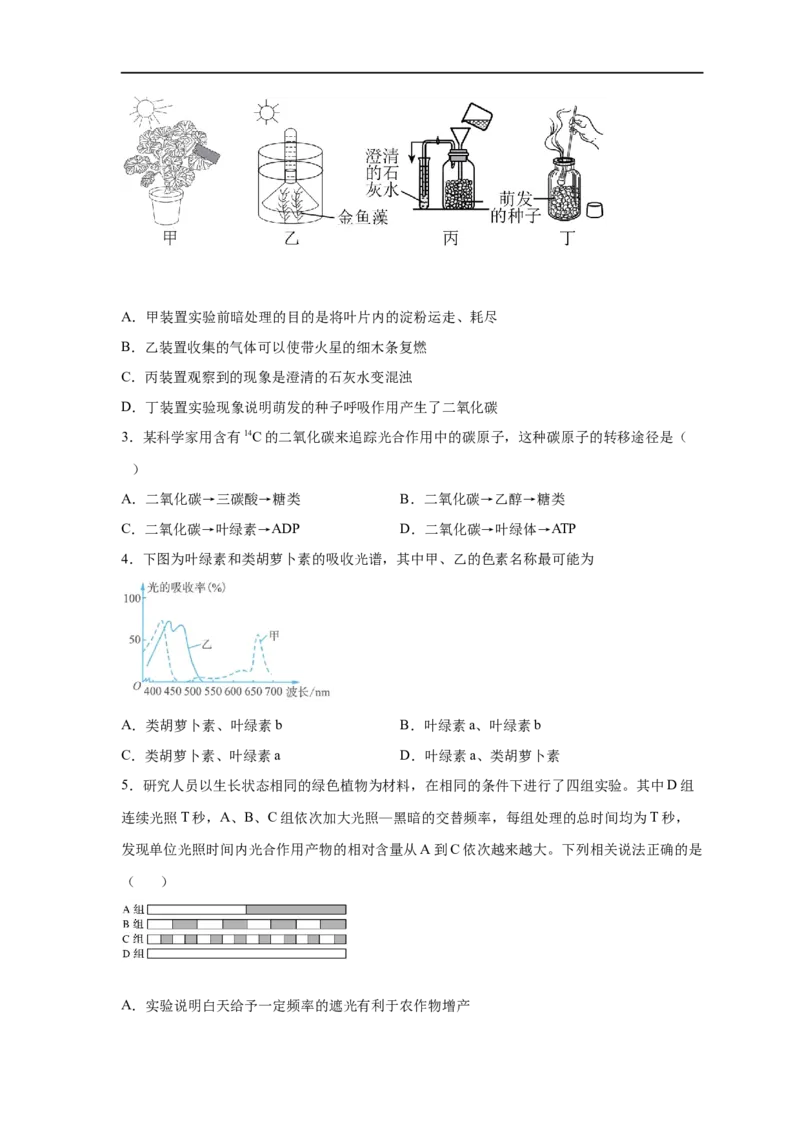 易错点08光合作用-备战2023年高考生物考试易错题（新教材新高考）（原卷版）_新高考复习资料_2023年新高考复习资料_专项复习_备战2023年高考生物考试易错题（新教材新高考）