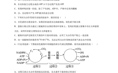 易错点08光合作用-备战2023年高考生物考试易错题（新教材新高考）（原卷版）_新高考复习资料_2023年新高考复习资料_专项复习_备战2023年高考生物考试易错题（新教材新高考）