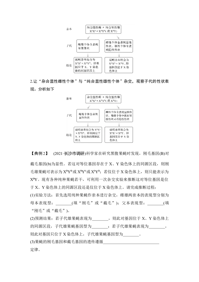 微专题12基因定位的遗传实验设计_通用版（老高考）复习资料_2023年复习资料_一轮复习_2023年高考生物一轮复习讲义+课件（全国版）_2023年高考生物一轮复习讲义（全国版）