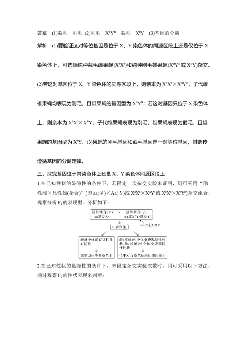 微专题12基因定位的遗传实验设计_通用版（老高考）复习资料_2023年复习资料_一轮复习_2023年高考生物一轮复习讲义+课件（全国版）_2023年高考生物一轮复习讲义（全国版）