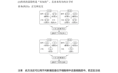 微专题12基因定位的遗传实验设计_通用版（老高考）复习资料_2023年复习资料_一轮复习_2023年高考生物一轮复习讲义+课件（全国版）_2023年高考生物一轮复习讲义（全国版）