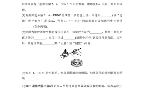 夯基提能练33微生物的培养与应用-备战2023高考生物一轮复习夯基提能练（全国通用）（原卷版）_通用版（老高考）复习资料_2023年复习资料_一轮复习