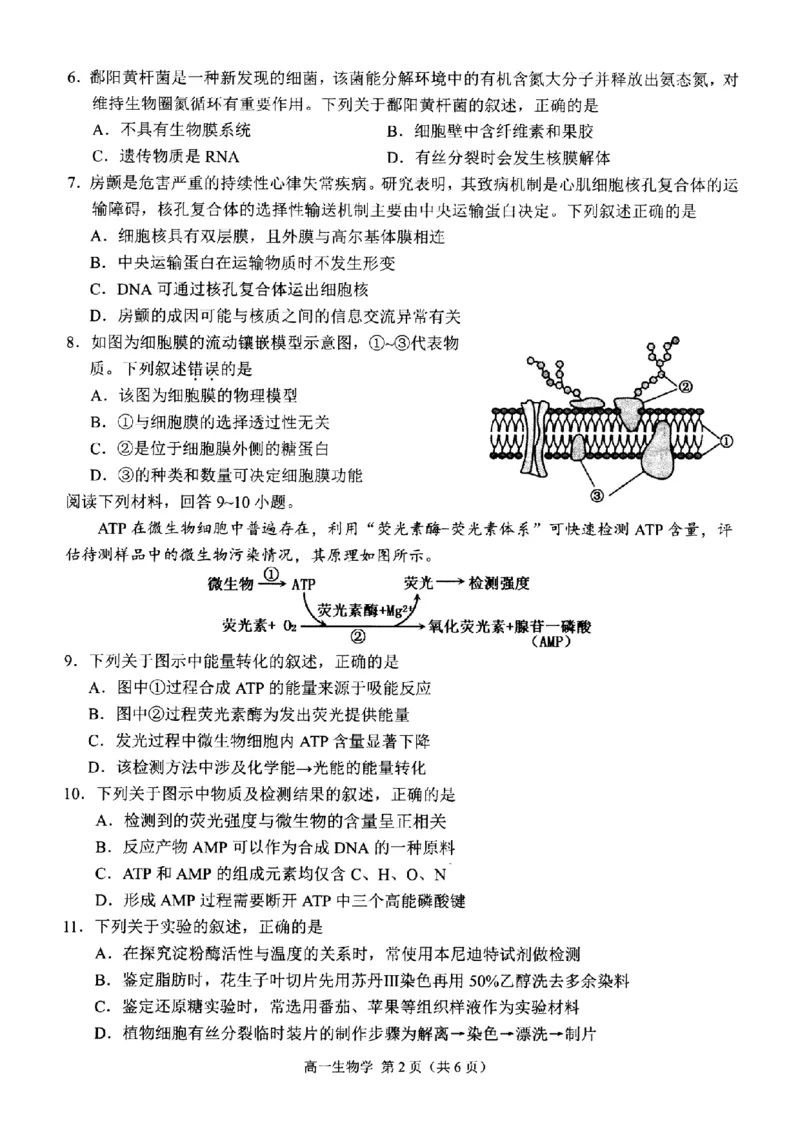 生物-浙江省杭州市2025学年第一学期高三期末学业水平测试_2024-2026高三（6-6月题库）_2026年02月高三试卷_260206浙江省杭州市2025学年第一学期高三年级期末学业水平测试