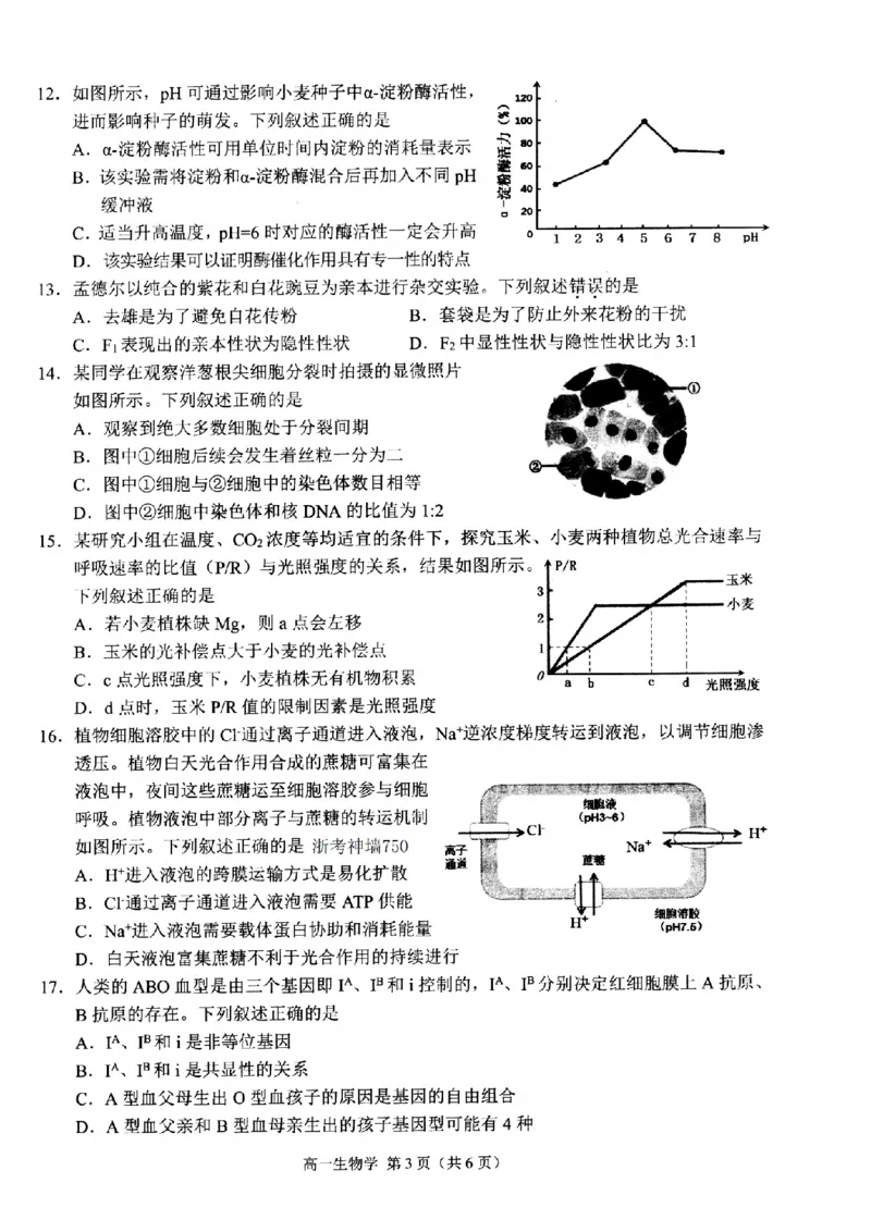生物-浙江省杭州市2025学年第一学期高三期末学业水平测试_2024-2026高三（6-6月题库）_2026年02月高三试卷_260206浙江省杭州市2025学年第一学期高三年级期末学业水平测试