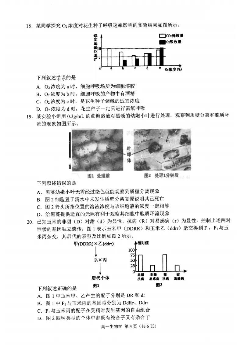 生物-浙江省杭州市2025学年第一学期高三期末学业水平测试_2024-2026高三（6-6月题库）_2026年02月高三试卷_260206浙江省杭州市2025学年第一学期高三年级期末学业水平测试