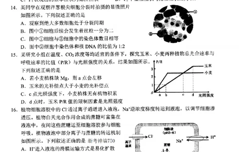 生物-浙江省杭州市2025学年第一学期高三期末学业水平测试_2024-2026高三（6-6月题库）_2026年02月高三试卷_260206浙江省杭州市2025学年第一学期高三年级期末学业水平测试