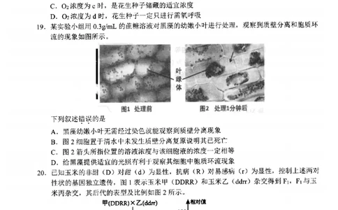 生物-浙江省杭州市2025学年第一学期高三期末学业水平测试_2024-2026高三（6-6月题库）_2026年02月高三试卷_260206浙江省杭州市2025学年第一学期高三年级期末学业水平测试