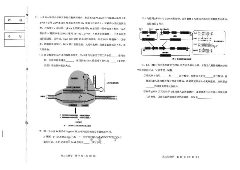 赤峰市2026年高三3&middot;20模拟测试生物_2024-2026高三（6-6月题库）_2026年03月高三试卷_260328内蒙古赤峰市2026年高三3&middot;20模拟测试（全科）