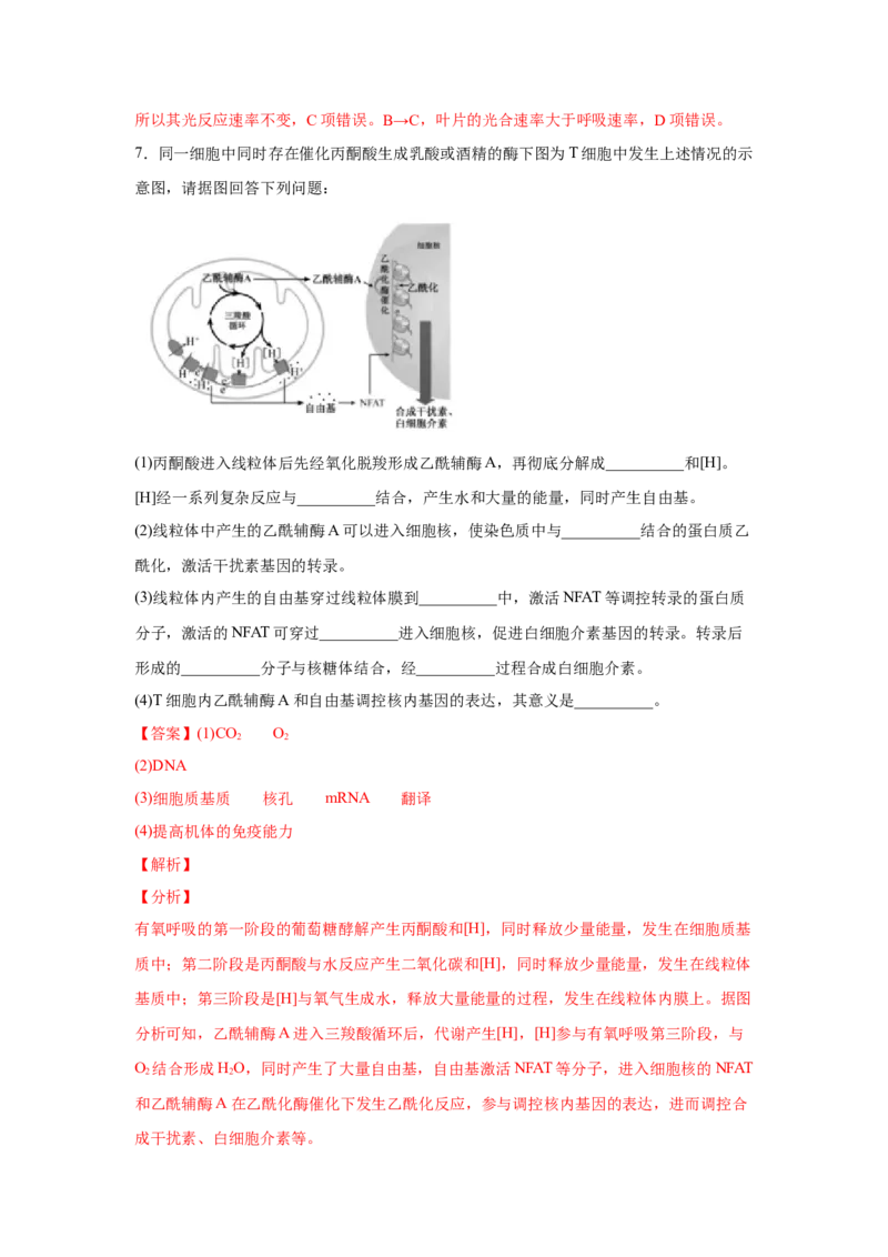 易错点03细胞的代谢2（光合与呼吸）-2021年高考生物一轮复习易错题（教师版含解析）_新高考复习资料_2023年新高考复习资料_一轮复习_2023年新高考大一轮复习讲义