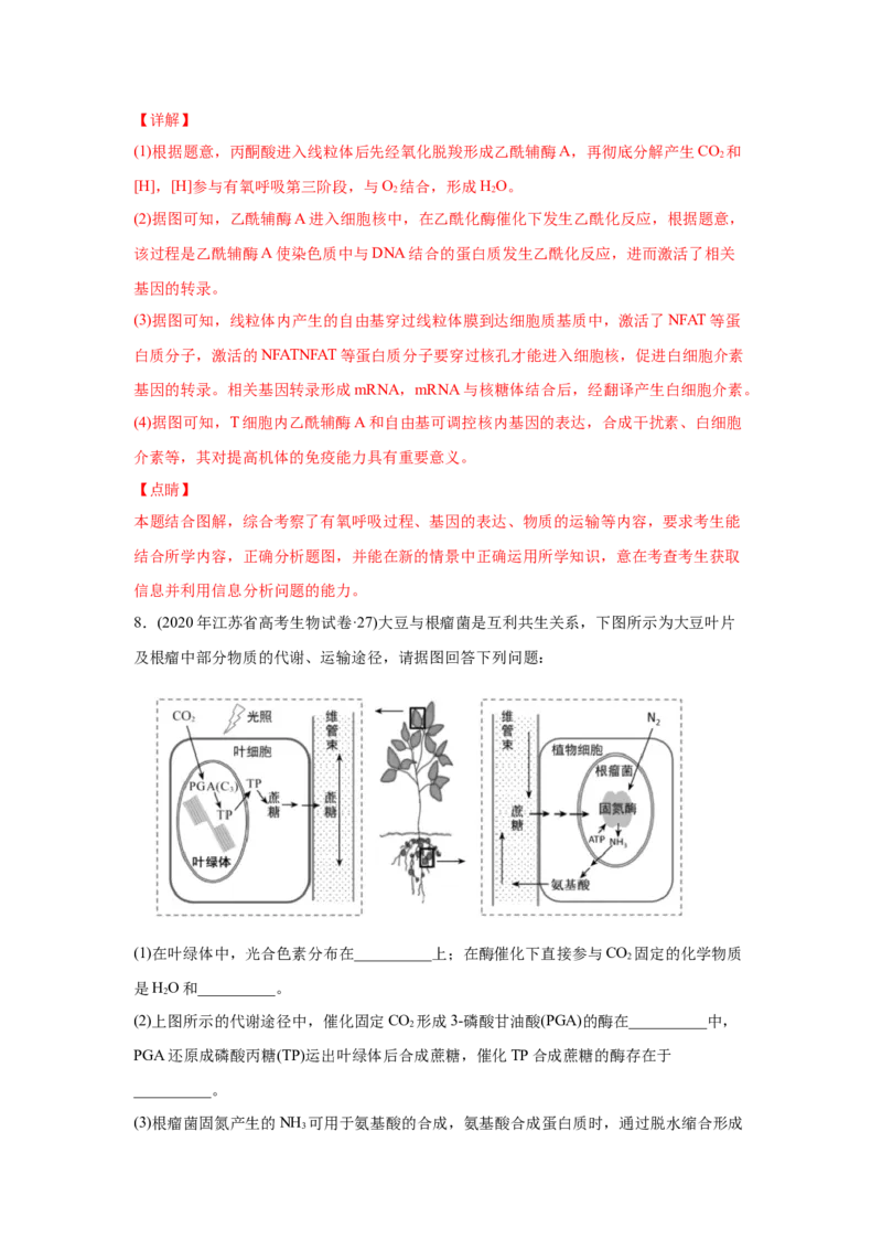 易错点03细胞的代谢2（光合与呼吸）-2021年高考生物一轮复习易错题（教师版含解析）_新高考复习资料_2023年新高考复习资料_一轮复习_2023年新高考大一轮复习讲义