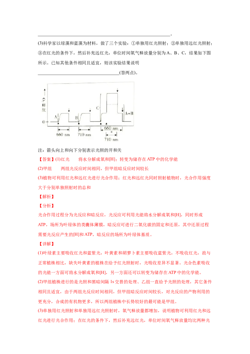 易错点03细胞的代谢2（光合与呼吸）-2021年高考生物一轮复习易错题（教师版含解析）_新高考复习资料_2023年新高考复习资料_一轮复习_2023年新高考大一轮复习讲义