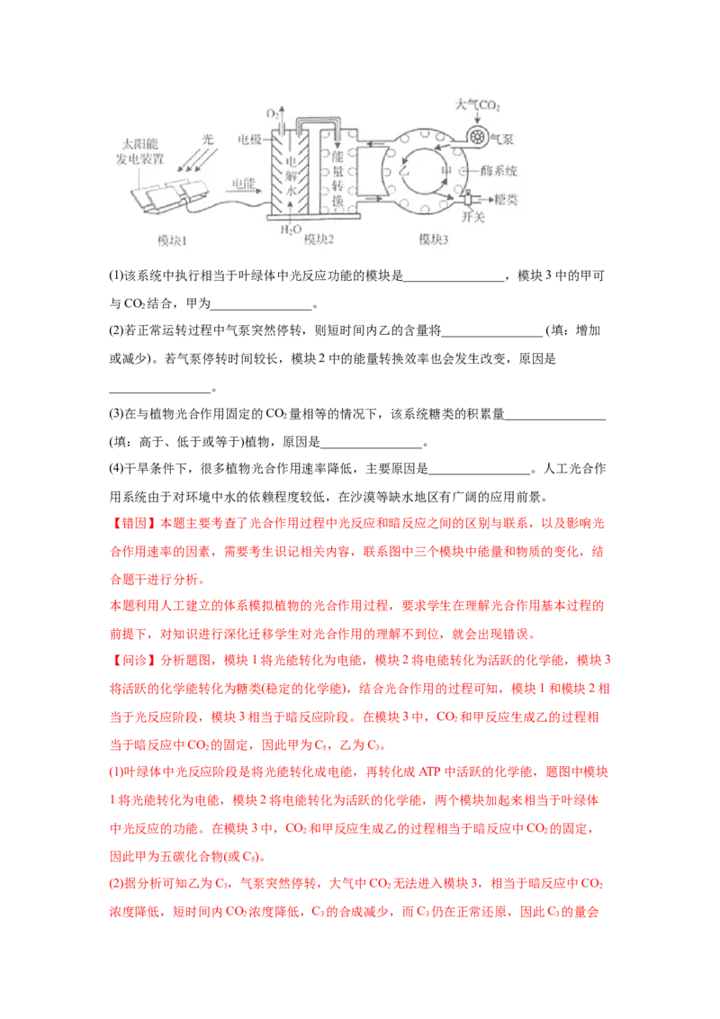 易错点03细胞的代谢2（光合与呼吸）-2021年高考生物一轮复习易错题（教师版含解析）_新高考复习资料_2023年新高考复习资料_一轮复习_2023年新高考大一轮复习讲义