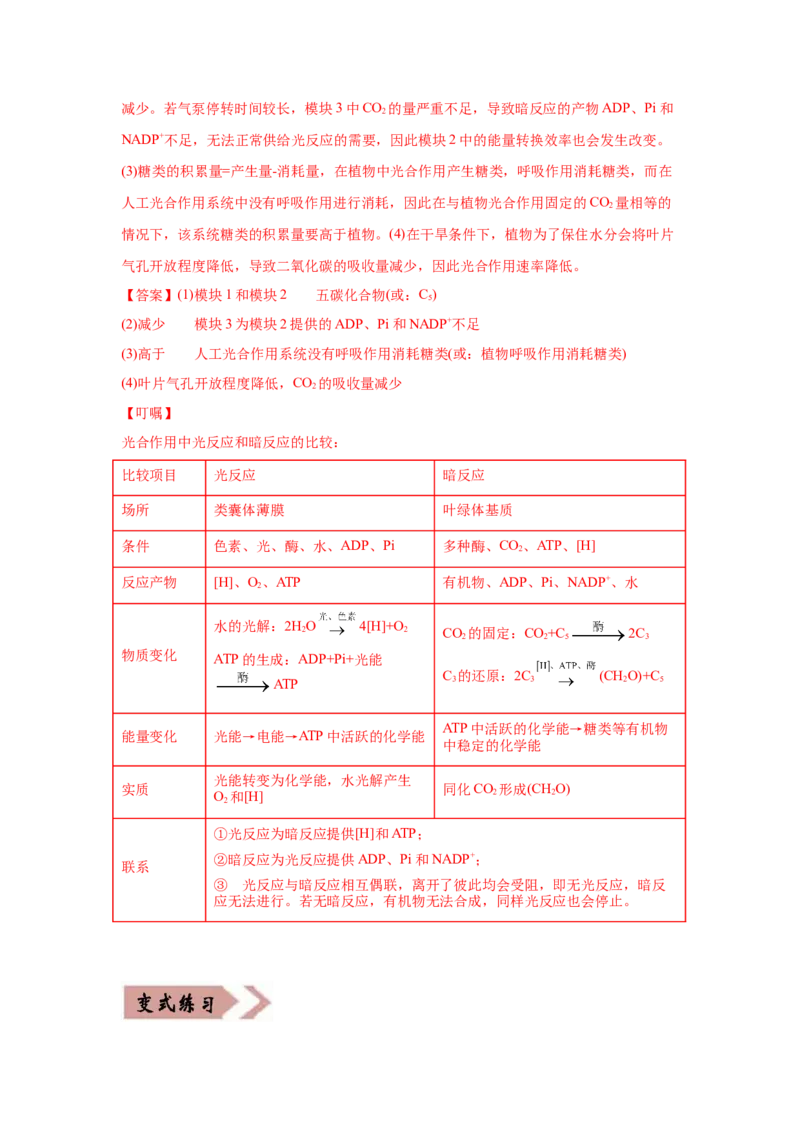 易错点03细胞的代谢2（光合与呼吸）-2021年高考生物一轮复习易错题（教师版含解析）_新高考复习资料_2023年新高考复习资料_一轮复习_2023年新高考大一轮复习讲义