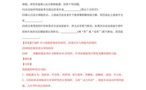 易错点03细胞的代谢2（光合与呼吸）-2021年高考生物一轮复习易错题（教师版含解析）_新高考复习资料_2023年新高考复习资料_一轮复习_2023年新高考大一轮复习讲义