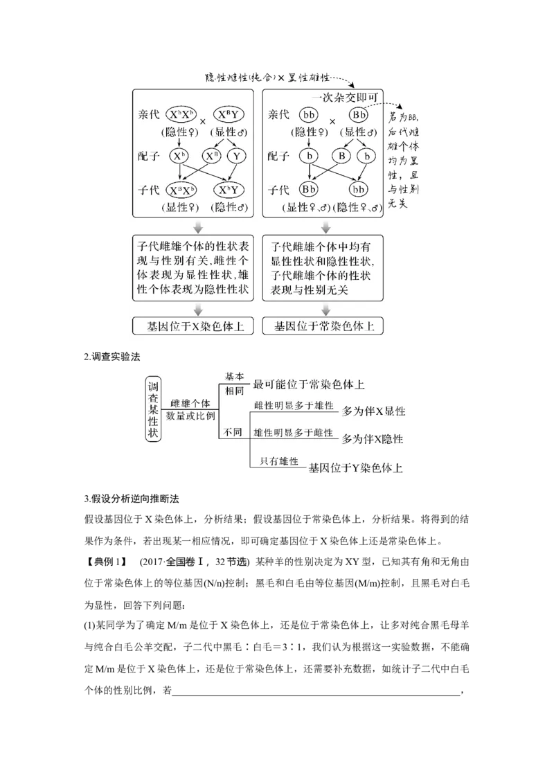 微专题11　基因定位的遗传实验设计_新高考复习资料_2023年新高考复习资料_一轮复习_2023年新高考大一轮复习讲义_2023年高考生物一轮复习讲义（新人教新高考）_赠补充习题
