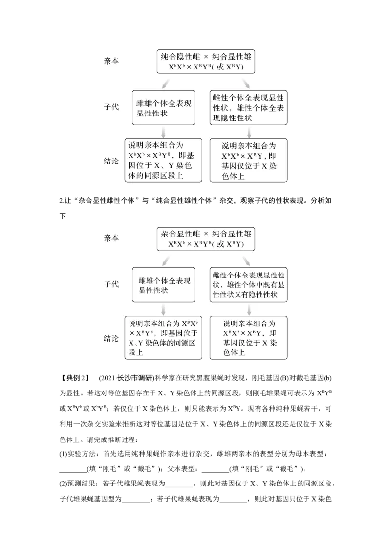 微专题11　基因定位的遗传实验设计_新高考复习资料_2023年新高考复习资料_一轮复习_2023年新高考大一轮复习讲义_2023年高考生物一轮复习讲义（新人教新高考）_赠补充习题
