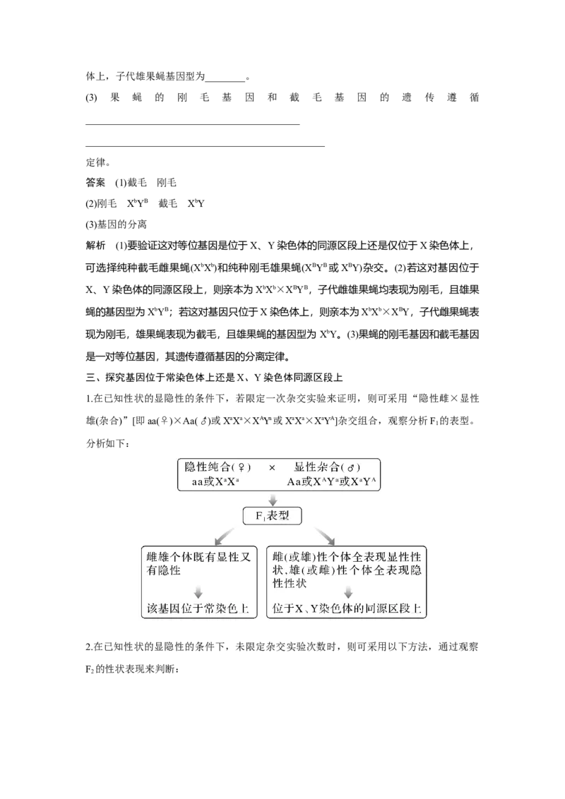 微专题11　基因定位的遗传实验设计_新高考复习资料_2023年新高考复习资料_一轮复习_2023年新高考大一轮复习讲义_2023年高考生物一轮复习讲义（新人教新高考）_赠补充习题