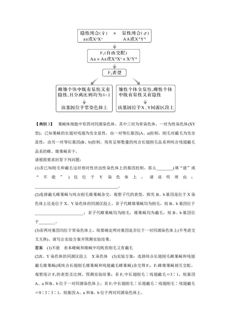 微专题11　基因定位的遗传实验设计_新高考复习资料_2023年新高考复习资料_一轮复习_2023年新高考大一轮复习讲义_2023年高考生物一轮复习讲义（新人教新高考）_赠补充习题
