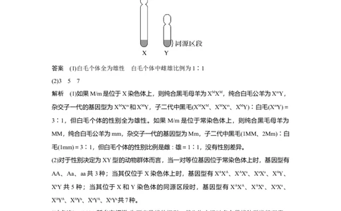微专题11　基因定位的遗传实验设计_新高考复习资料_2023年新高考复习资料_一轮复习_2023年新高考大一轮复习讲义_2023年高考生物一轮复习讲义（新人教新高考）_赠补充习题