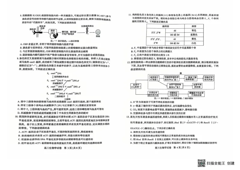 恩施州2026届高三第二次质量监测考试生物_2024-2026高三（6-6月题库）_2026年03月高三试卷_260322湖北省恩施州2026届高三第二次质量监测考试（全科）
