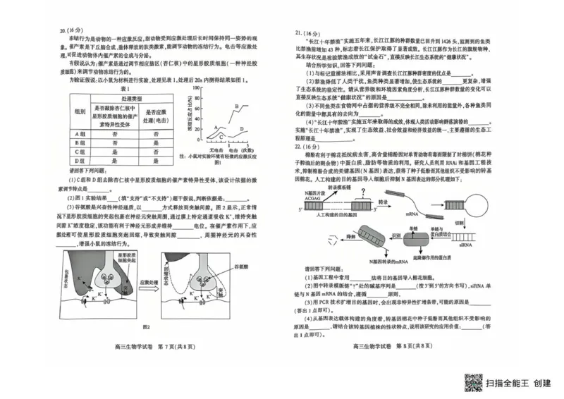 恩施州2026届高三第二次质量监测考试生物_2024-2026高三（6-6月题库）_2026年03月高三试卷_260322湖北省恩施州2026届高三第二次质量监测考试（全科）